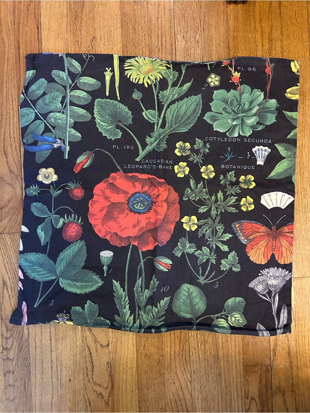 2 Pottery Barn Euro Shams